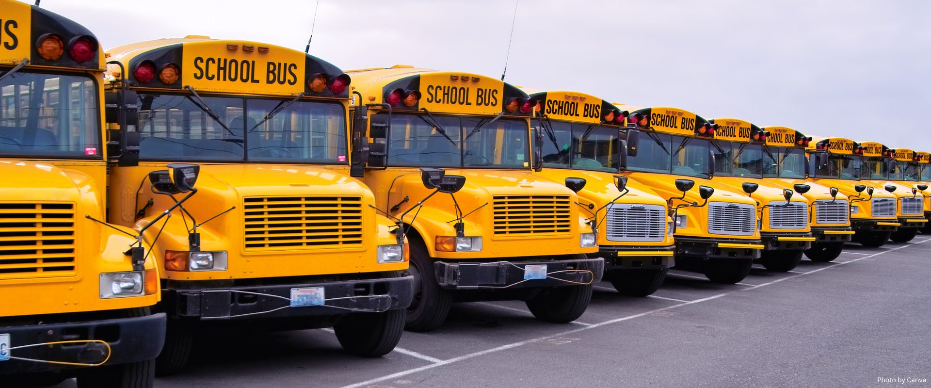 Yellow School Bus