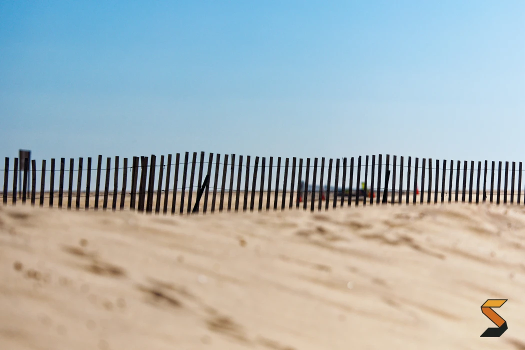 choas at jones beach related to Chaos at the Beach: A Call for Empathy, Not Condemnation