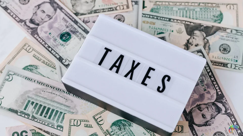School Taxes