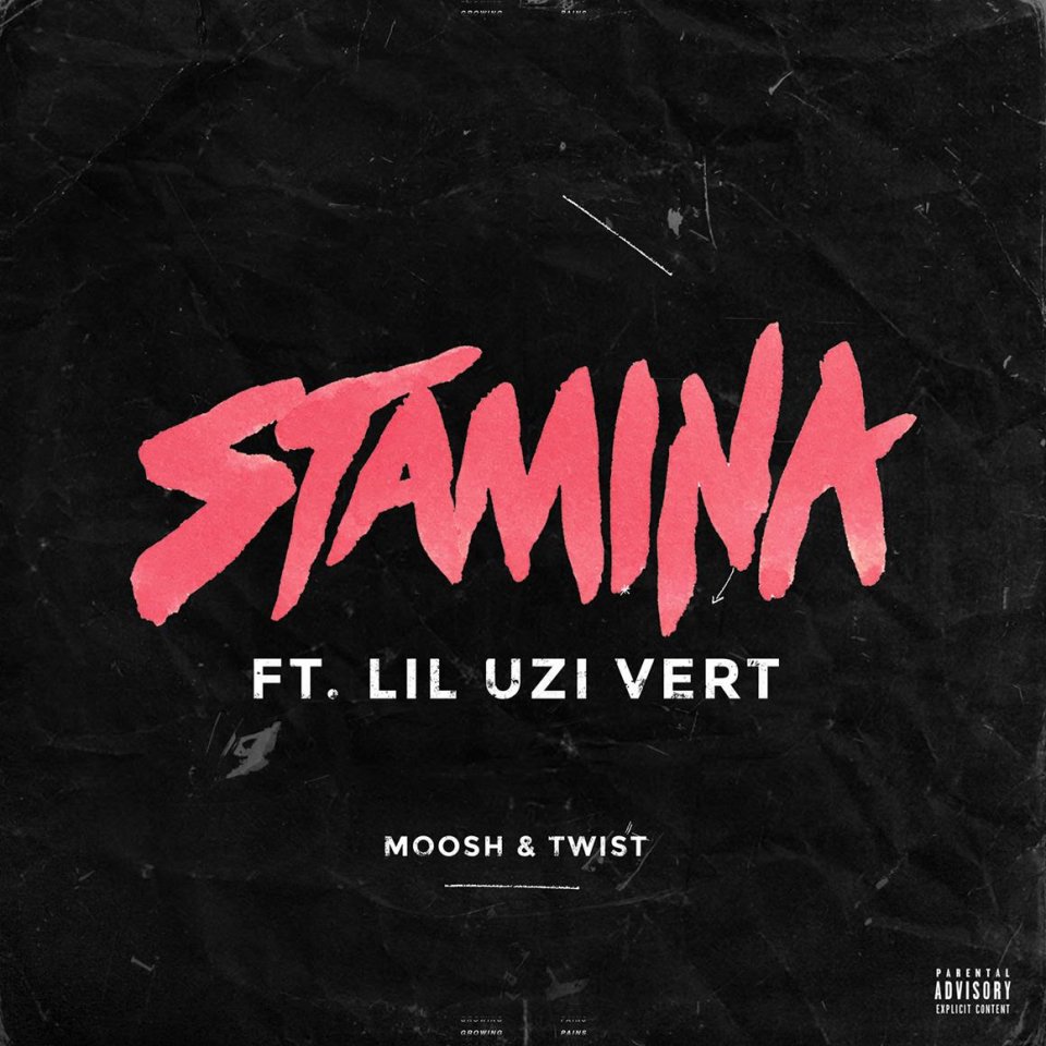 Moosh Twist Stamina