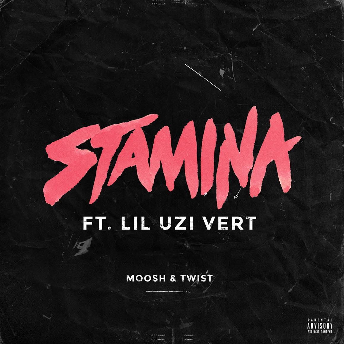 Moosh Twist Stamina