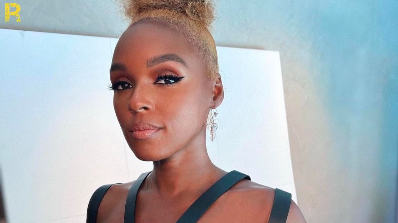 Janelle Monae Slams Nelly
