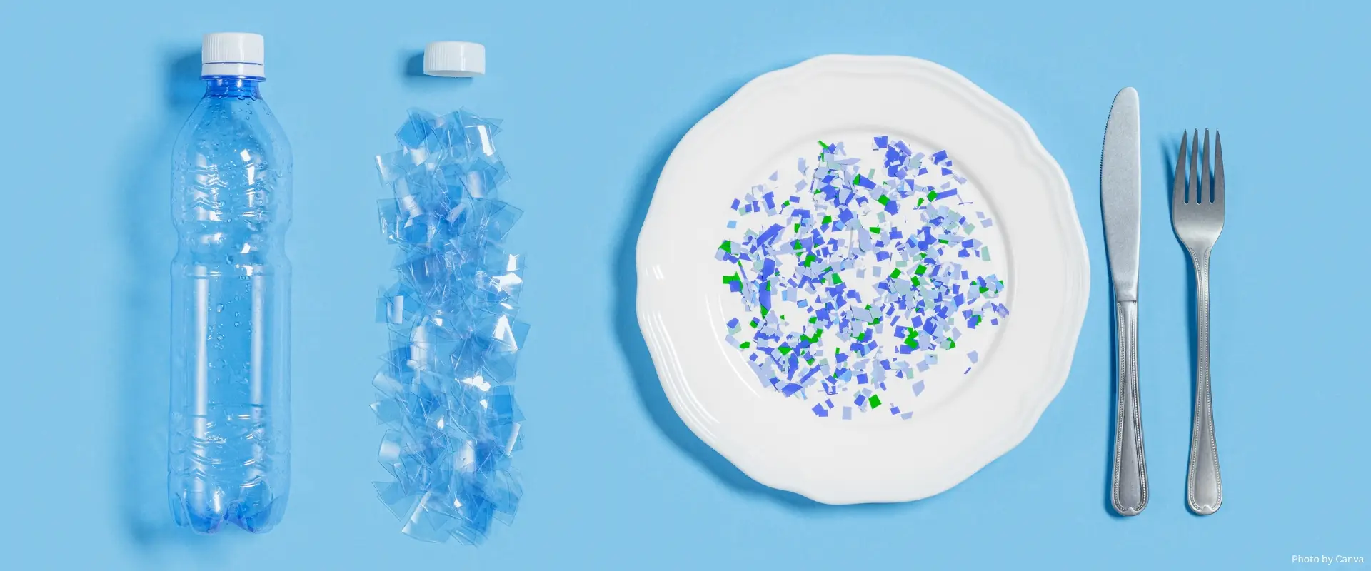 microplastic particles in water and food